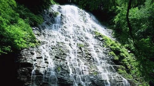 绿色电子高标准